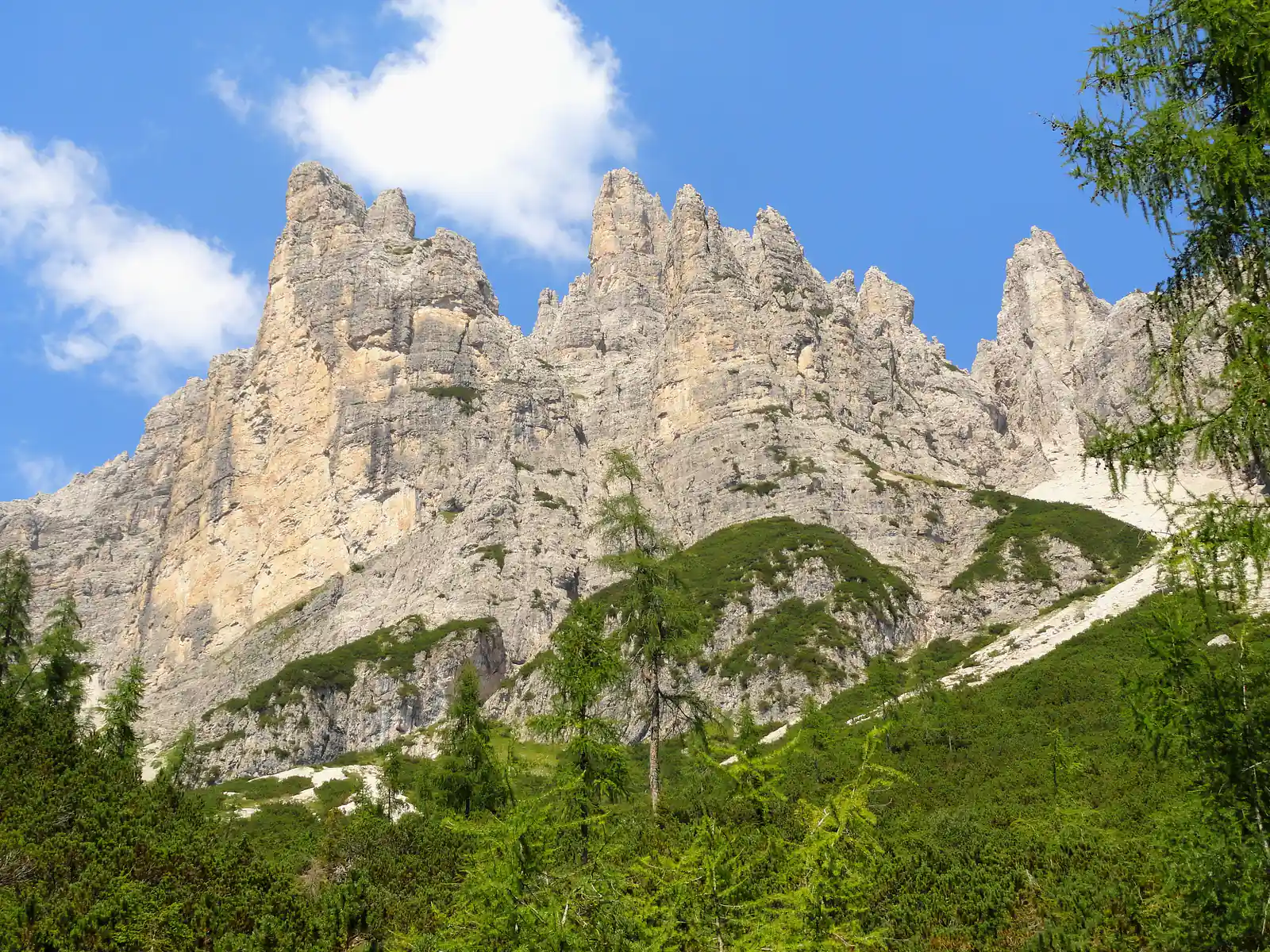 The pale rock spires of the Friulian Dolomites above Forni di Sopra, with larches and mountain pines in front